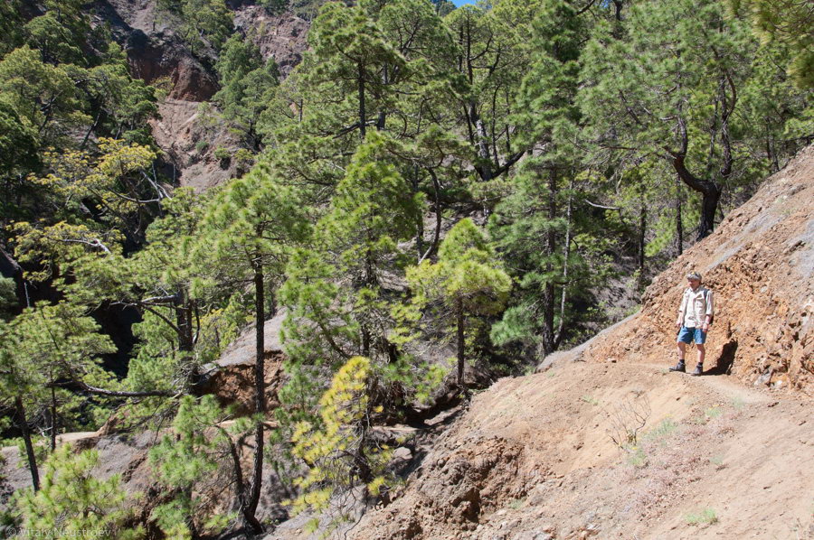La Palma